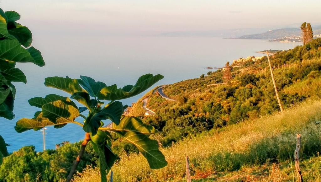 Terramare Βίλα Castel di Tusa Εξωτερικό φωτογραφία